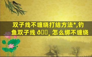 双子线不缠绕打结方法*
,钓鱼双子线 🕸 怎么绑不缠绕